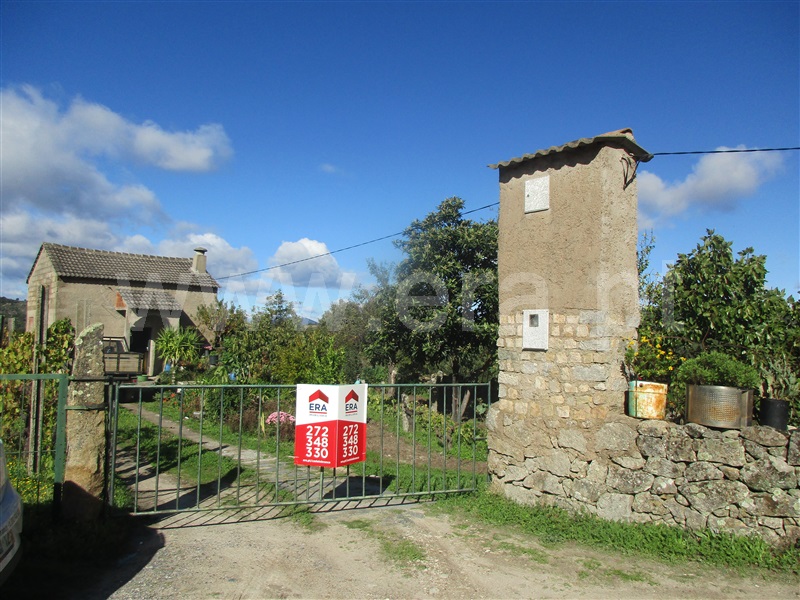 Quinta / Penamacor, Aranhas