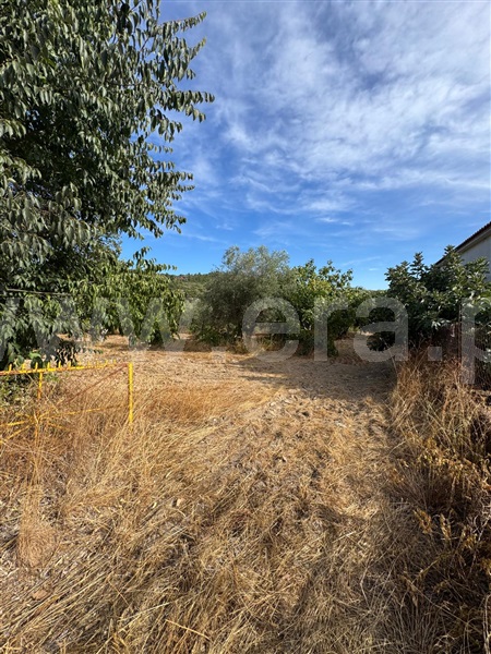 Quinta  Penamacor, Aranhas - 1512228 - 4