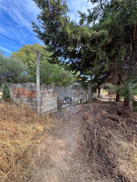 Quinta  Penamacor, Aranhas - 1512228 - 13