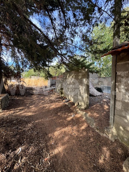 Quinta  Penamacor, Aranhas - 1512228 - 14