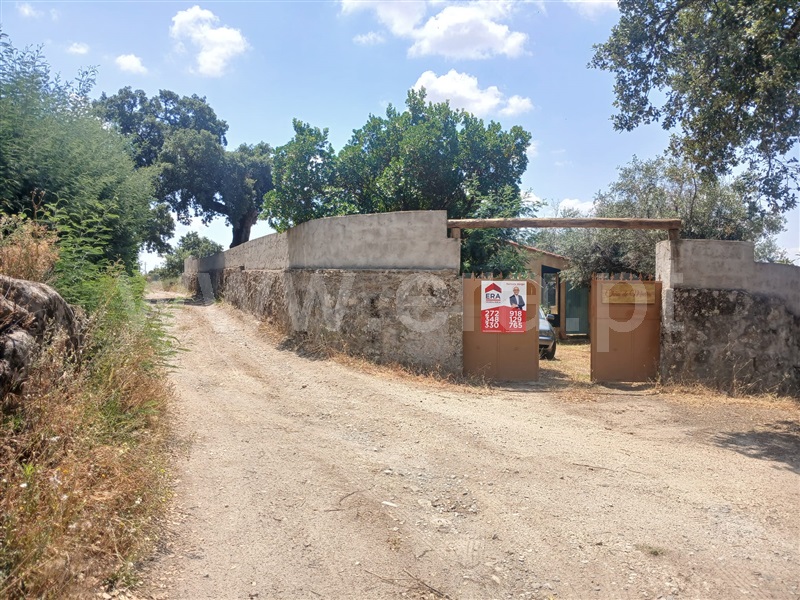 Quinta / Penamacor, Pedrogão de São Pedro