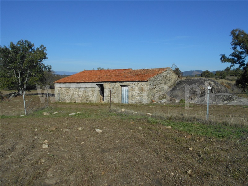 Quinta / Penamacor, Penamacor
