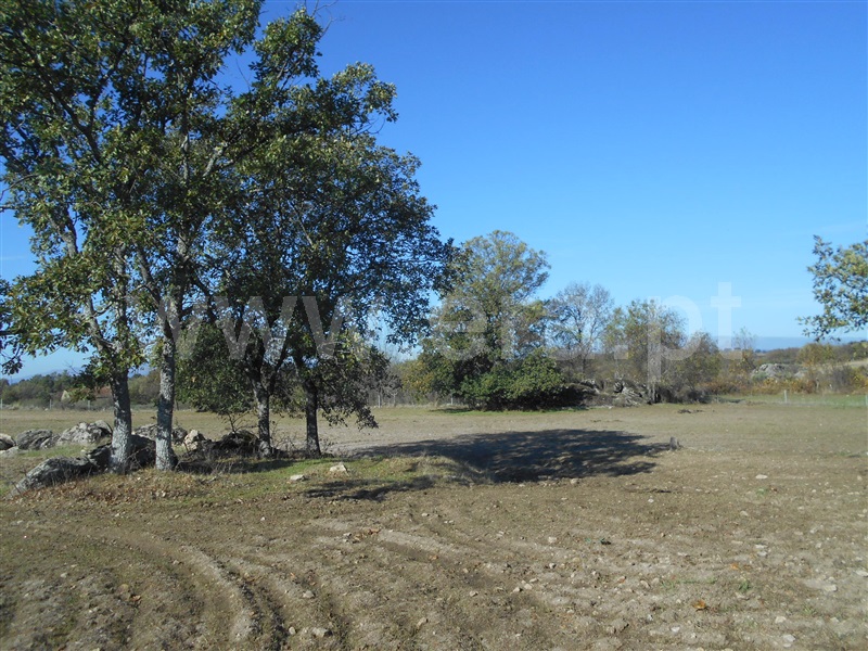 Quinta  Penamacor, Penamacor - 1050538 - 20