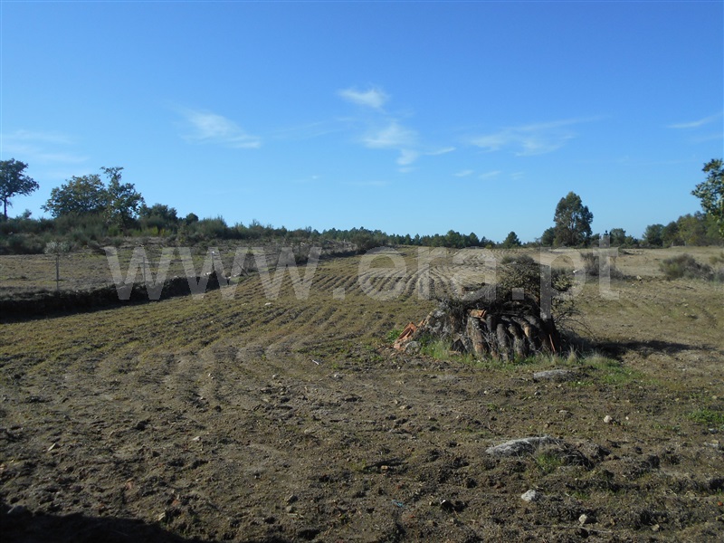 Quinta  Penamacor, Penamacor - 1050538 - 26