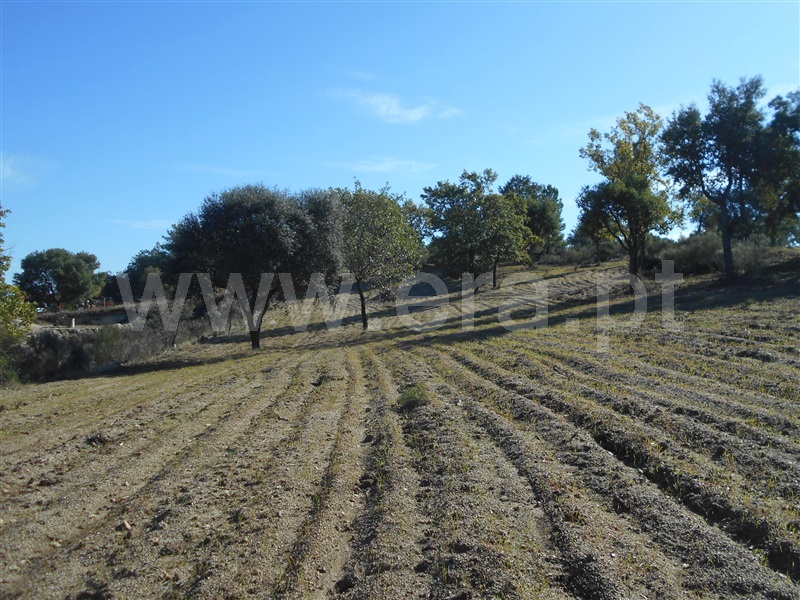 Quinta  Penamacor, Penamacor - 1050538 - 25