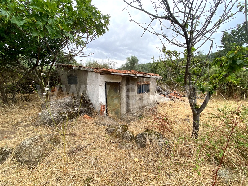 Quinta  Penamacor, Penamacor - 1298553 - 4