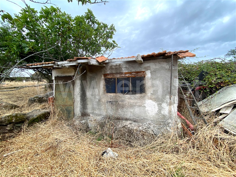 Quinta  Penamacor, Penamacor - 1298553 - 5