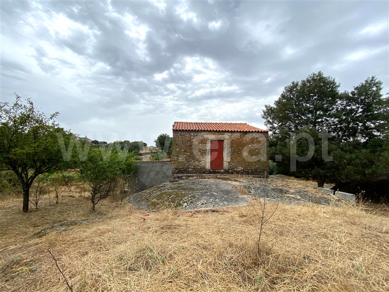 Quinta  Penamacor, Penamacor - 1298553 - 14