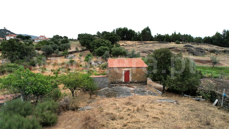 Quinta  Penamacor, Penamacor - 1298553 - 15