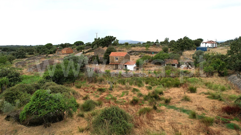 Quinta  Penamacor, Penamacor - 1298553 - 17