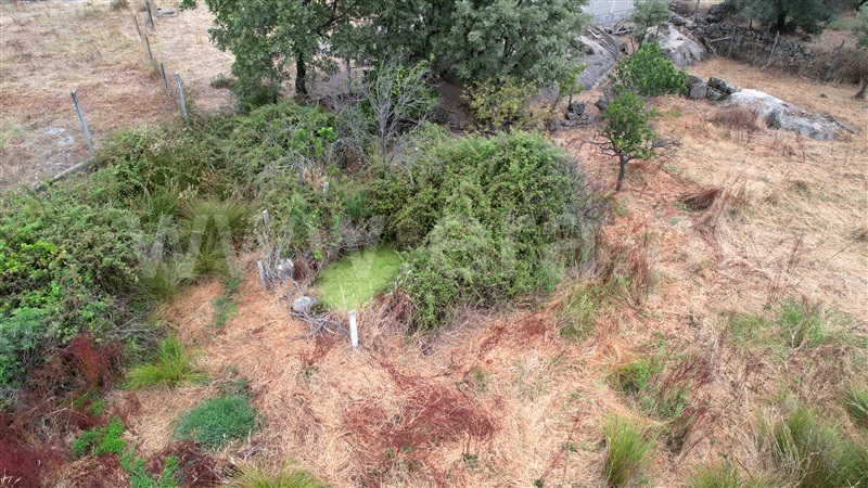 Quinta  Penamacor, Penamacor - 1298553 - 18