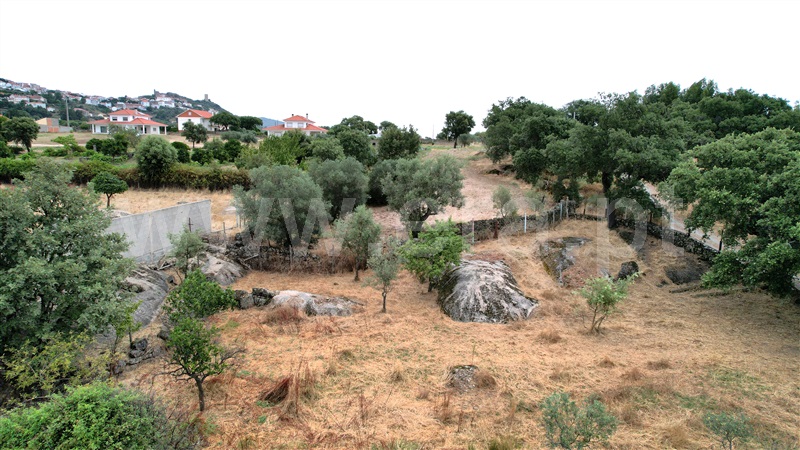 Quinta  Penamacor, Penamacor - 1298553 - 19