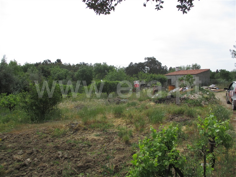 Quinta / Penamacor, Penamacor