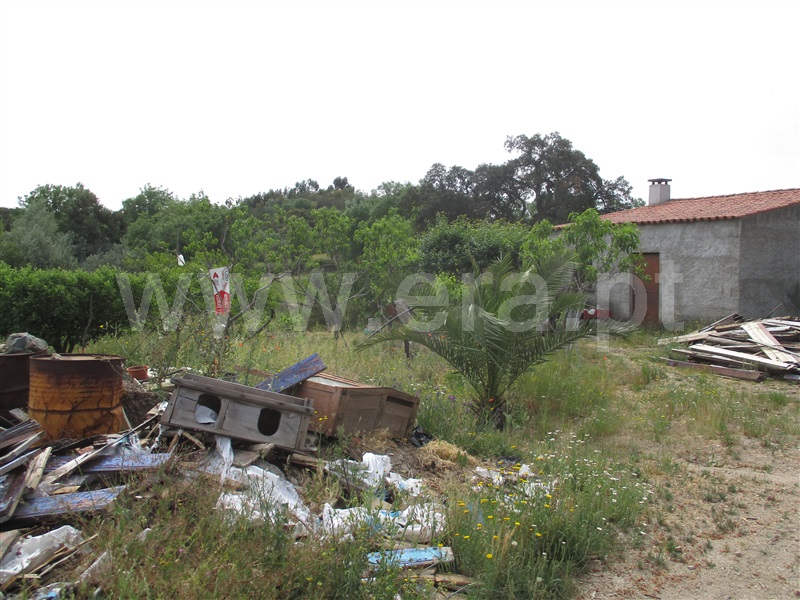 Quinta  Penamacor, Penamacor - 1325429 - 2