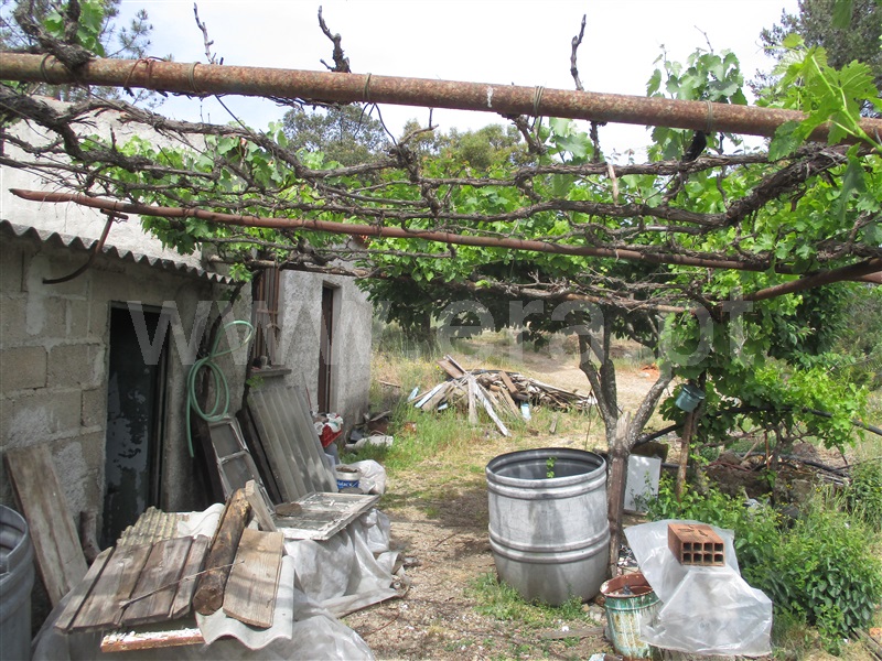 Quinta  Penamacor, Penamacor - 1325429 - 12