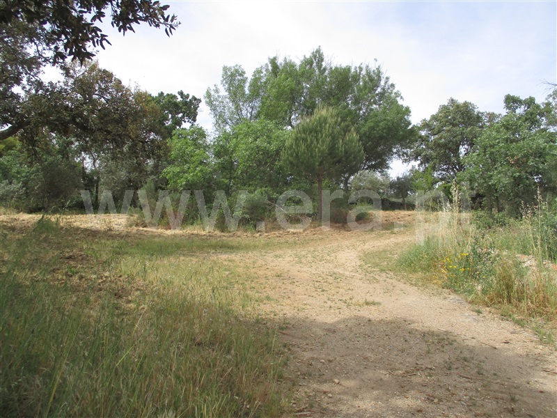 Quinta  Penamacor, Penamacor - 1325429 - 13