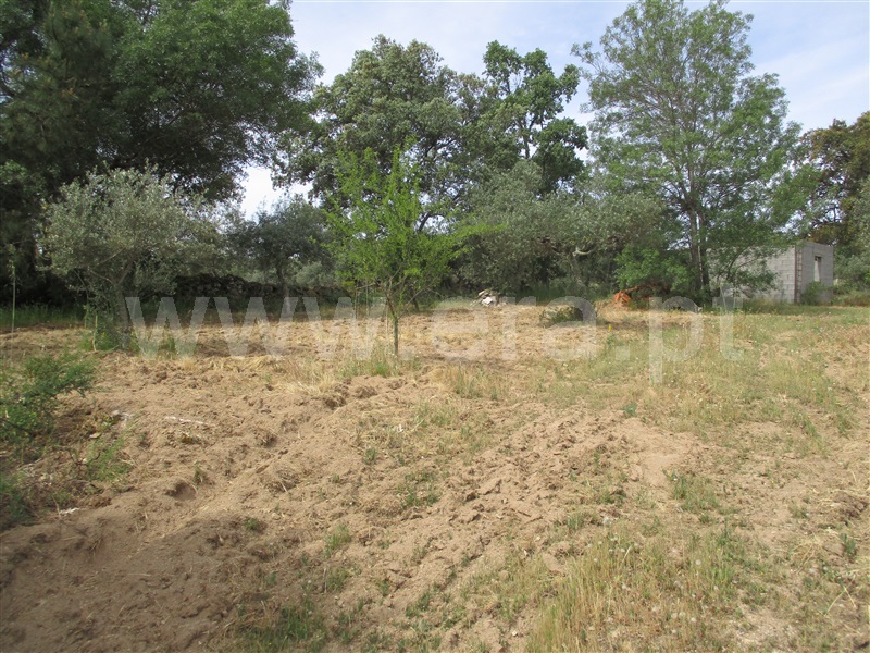 Quinta  Penamacor, Penamacor - 1325429 - 14