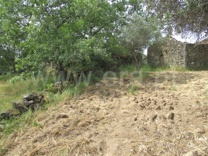 Quinta  Penamacor, Penamacor - 1325429 - 21