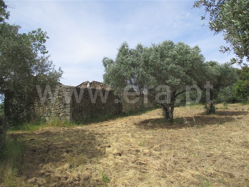 Quinta  Penamacor, Penamacor - 1325429 - 22