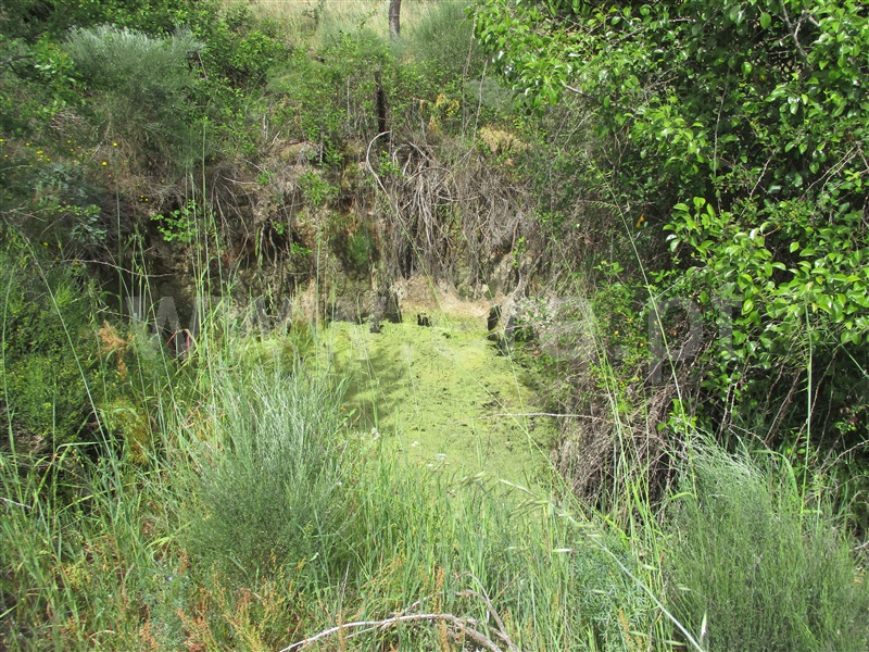 Quinta  Penamacor, Penamacor - 1325429 - 27