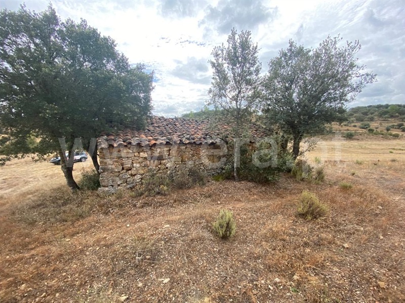 Quinta  Penamacor, Aranhas - 1352592 - 6