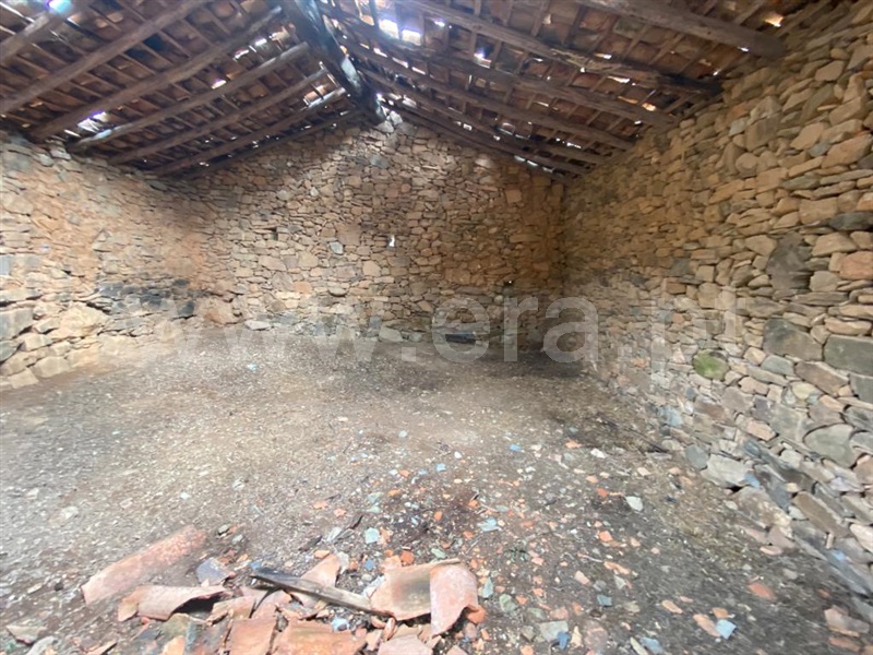 Quinta  Penamacor, Aranhas - 1352592 - 8