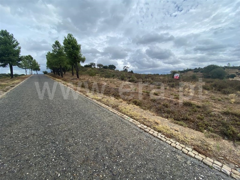 Quinta  Penamacor, Aranhas - 1352592 - 13