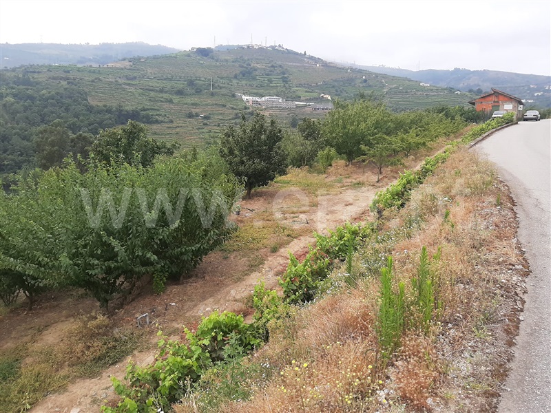 Quinta  Peso da Régua, Peso da Régua e Godim - 1187208 - 9