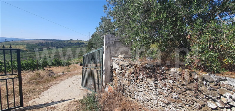 Quinta  Peso da Régua, Galafura e Covelinhas - 1457469 - 6