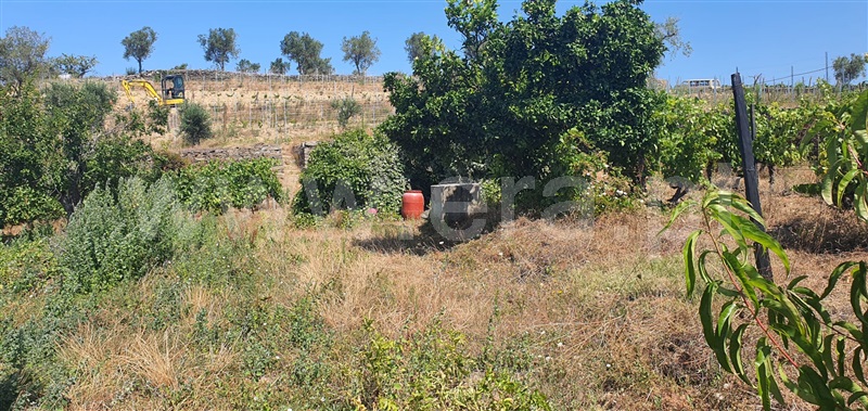Quinta  Peso da Régua, Galafura e Covelinhas - 1457469 - 17