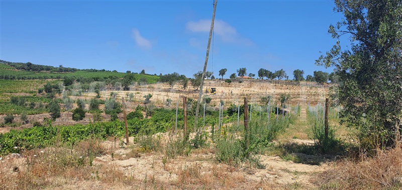 Quinta  Peso da Régua, Galafura e Covelinhas - 1457469 - 25