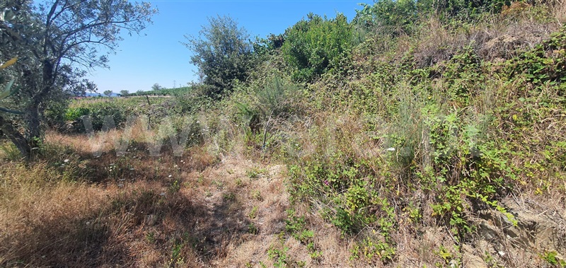 Quinta  Peso da Régua, Galafura e Covelinhas - 1457469 - 30
