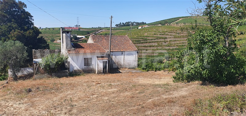 Quinta  Peso da Régua, Galafura e Covelinhas - 1457469 - 34