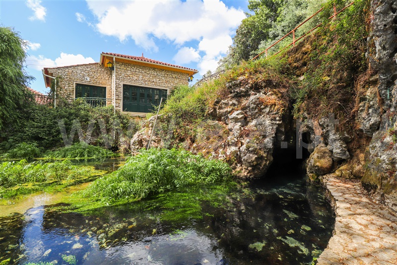 Quinta / Pombal, Redinha