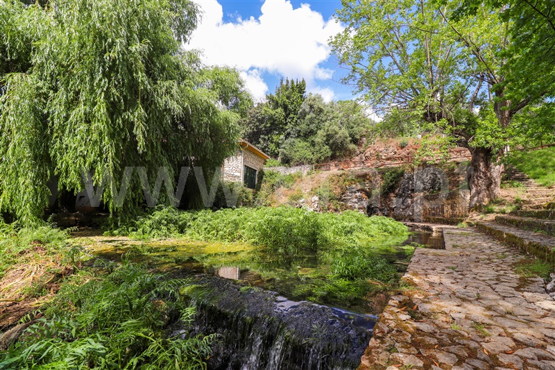 Quinta  Pombal, Redinha - 1326351 - 3