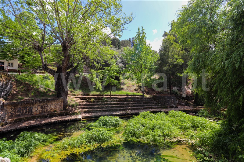 Quinta  Pombal, Redinha - 1326351 - 11