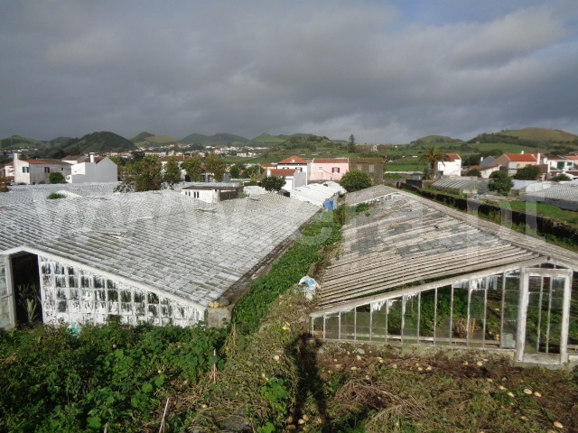 Quinta  Ponta Delgada, Ponta Delgada - 877854 - 4