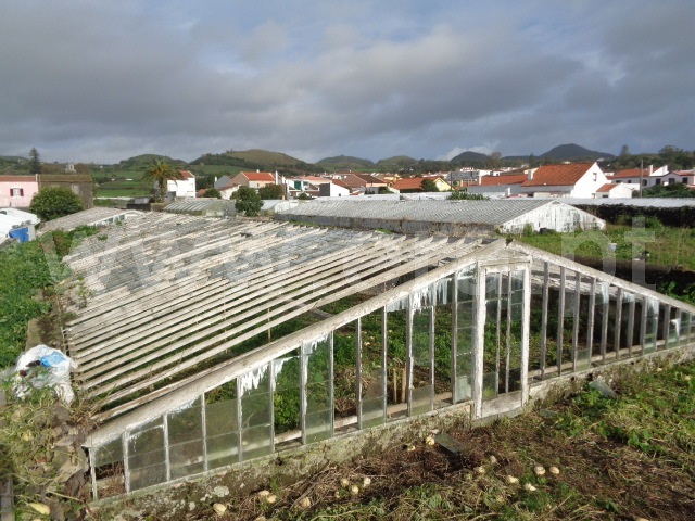 Quinta  Ponta Delgada, Ponta Delgada - 877854 - 7