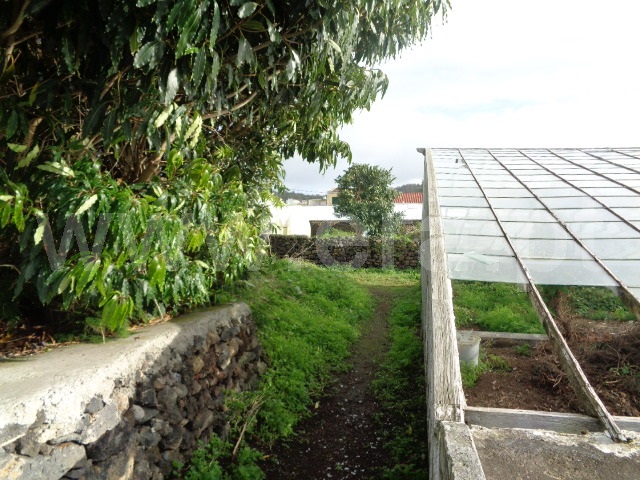Quinta  Ponta Delgada, Ponta Delgada - 877854 - 15