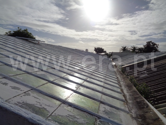 Quinta  Ponta Delgada, Ponta Delgada - 877854 - 20