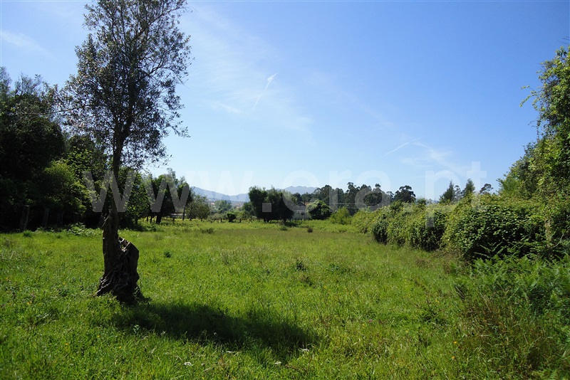 Quinta  Ponte de Lima, Sá - 909196 - 7