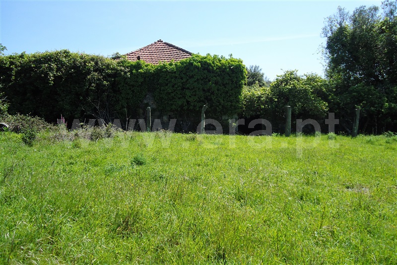 Quinta  Ponte de Lima, Sá - 909196 - 8
