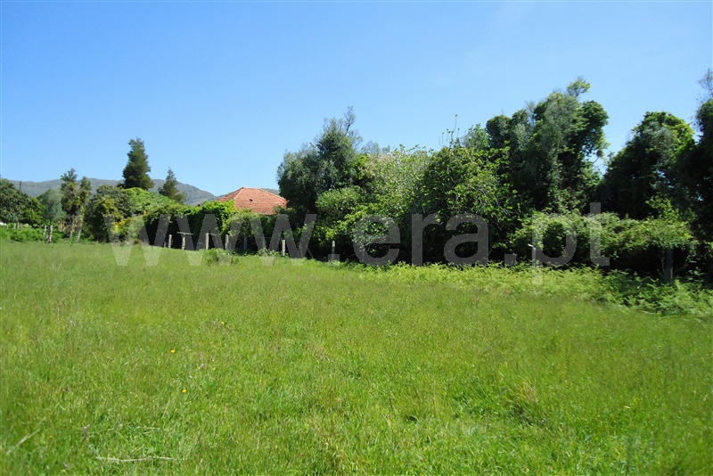 Quinta  Ponte de Lima, Sá - 909196 - 9