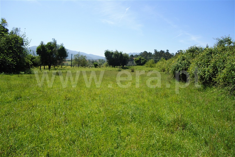 Quinta  Ponte de Lima, Sá - 909196 - 10
