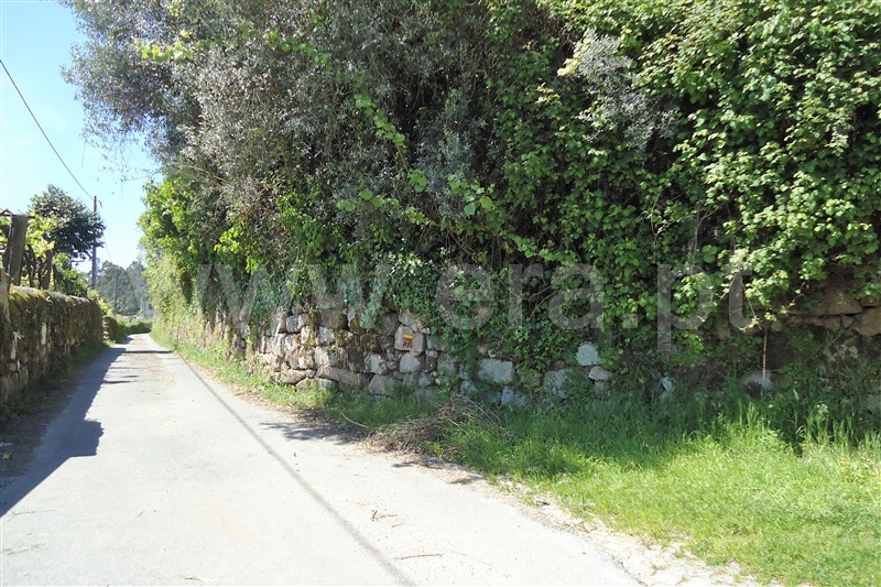 Quinta  Ponte de Lima, Sá - 909196 - 11