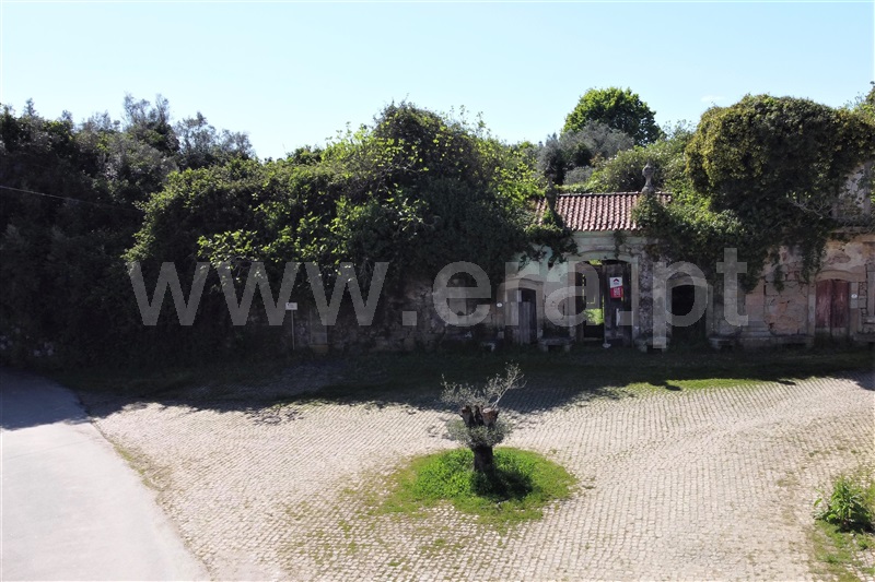 Quinta  Ponte de Lima, Sá - 909196 - 11