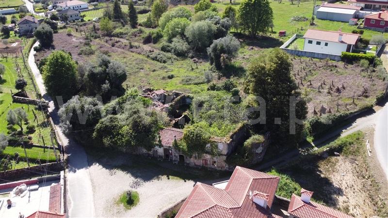 Quinta  Ponte de Lima, Sá - 909196 - 12