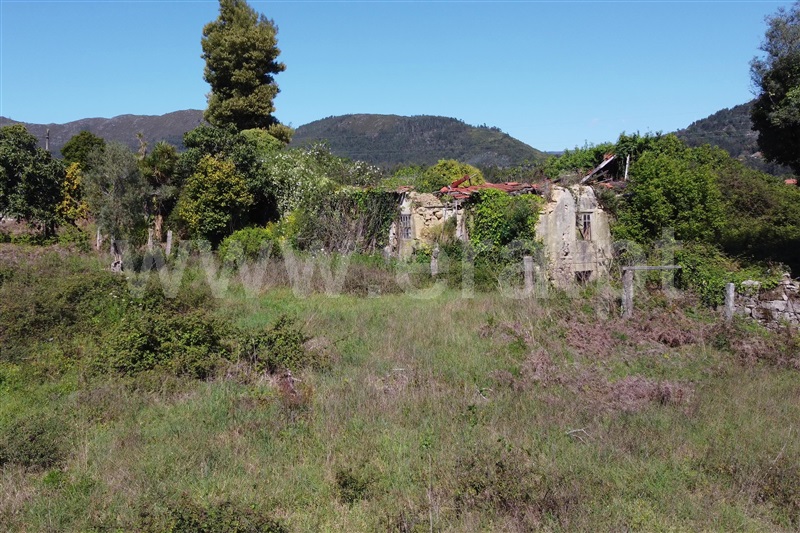 Quinta  Ponte de Lima, Sá - 909196 - 14