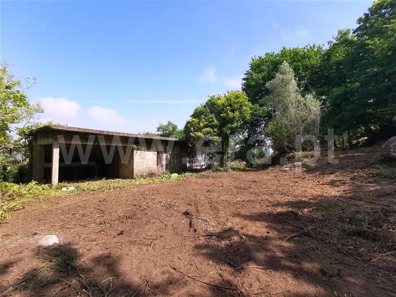 Quinta  Póvoa de Lanhoso, Garfe - 964954 - 4