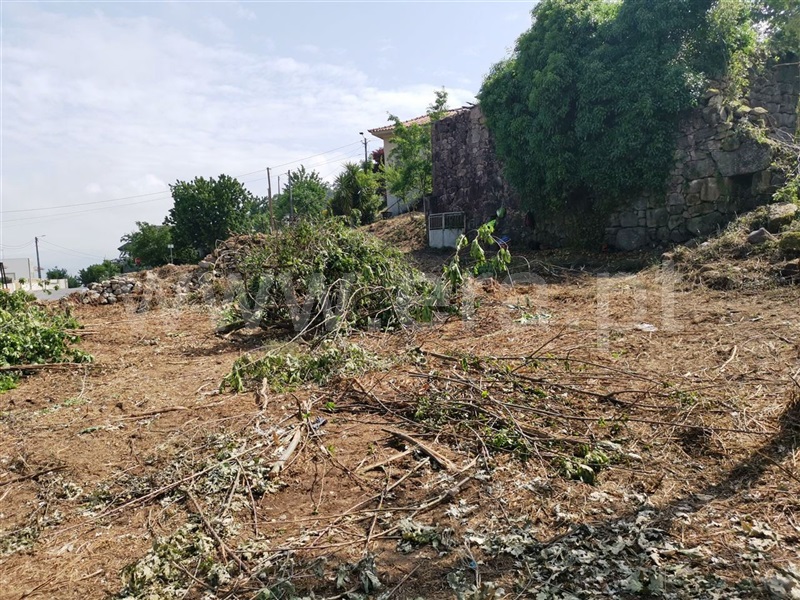Quinta  Póvoa de Lanhoso, Garfe - 964954 - 7